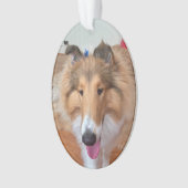 Rough Collie Dog Ornament (Vorderseite)