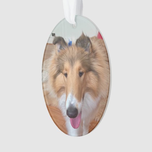 Rough Collie Dog Ornament (Vorderseite)