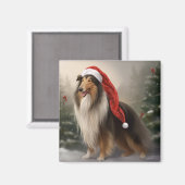 Rough Collie Dog zu Schnee Weihnachten Magnet (Vorderseite/Rückseite)