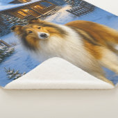 Rough Collie Ferien  Sherpadecke (3/4)