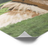 Rough Collie gegen Yorkshire Dales Poster (Ecke)