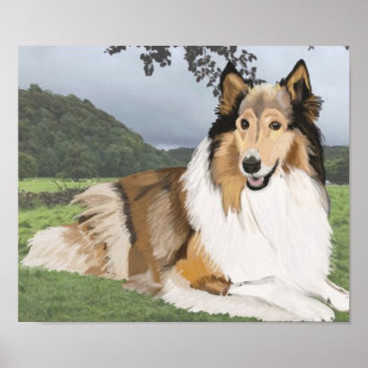 Rough Collie gegen Yorkshire Dales Poster (Vorne)