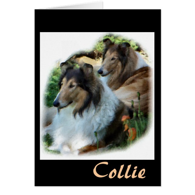 Rough Collie Geschenk der Kunst (Vorne)