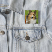 Rough Collie, Hund Button (Beispiel)