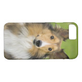 Rough Collie, Hund Case-Mate iPhone Hülle (Rückseite (Horizontal))