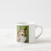 Rough Collie, Hund Espressotasse (Rechts)