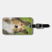Rough Collie, Hund Gepäckanhänger (Vorderseite horizontal)