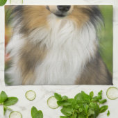 Rough Collie, Hund Handtuch (Gefaltet)
