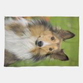 Rough Collie, Hund Handtuch (Horizontal)