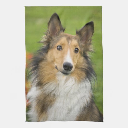 Rough Collie, Hund Handtuch (Vertikal)