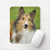 Rough Collie, Hund Mousepad (Mit Mouse)