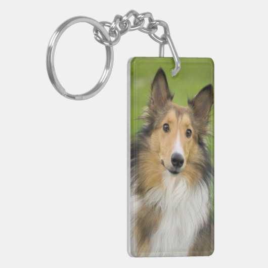 Rough Collie, Hund Schlüsselanhänger (Vorderseite links)