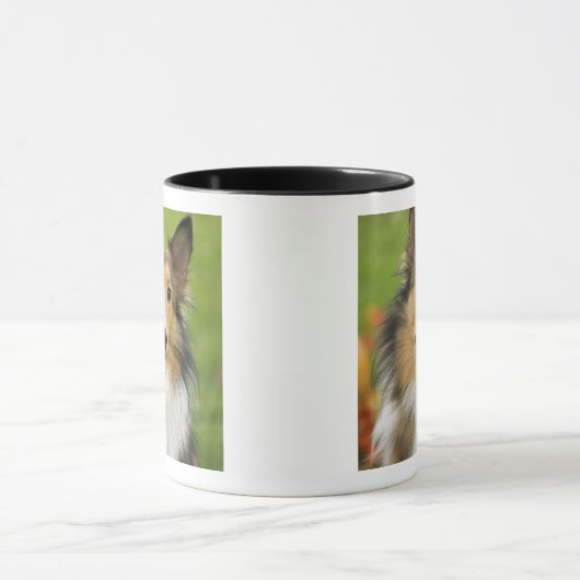 Rough Collie, Hund Tasse (Zentrum)