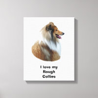 Rough Collie Hundeportrait Foto
