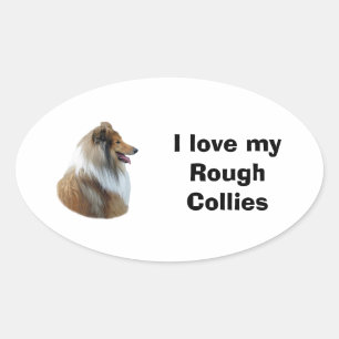 Rough Collie Hundeportrait Foto Ovaler Aufkleber