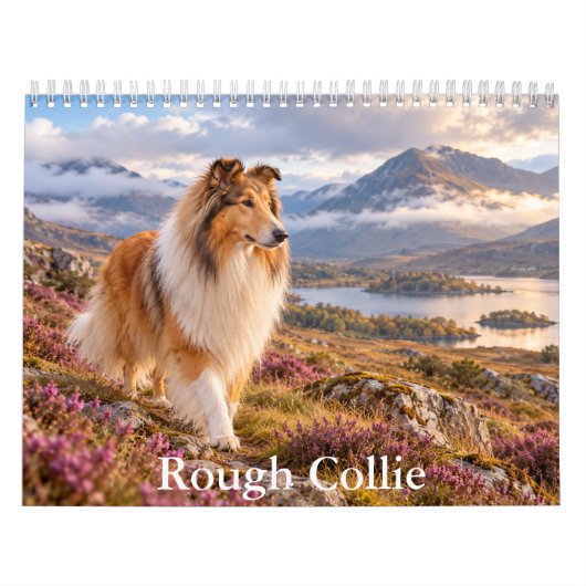 Rough Collie-Kalender Kalender (Titelbild)