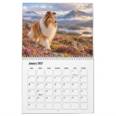 Rough Collie-Kalender Kalender (Jan 2027)