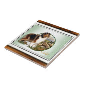 Rough Collie Keeper vom Schafe Fliese (Seite)