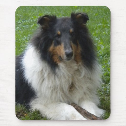 Rough Collie Mouse Mousepad (Vorne)