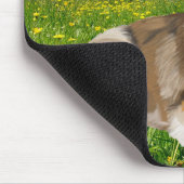 Rough Collie Mousepad (Ecke)