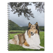 Rough Collie Notizblock (Vorderseite)