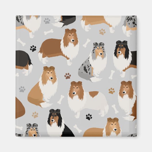 Rough Collie Paws and Bones Magnet (Vorne)
