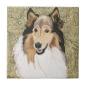 Rough Collie Portrait Fliese (Vorderseite)
