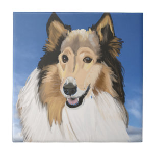 Rough Collie Portrait gegen den blauen Himmel Fliese
