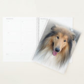 Rough Collie Portrait Planer (Anzeige)