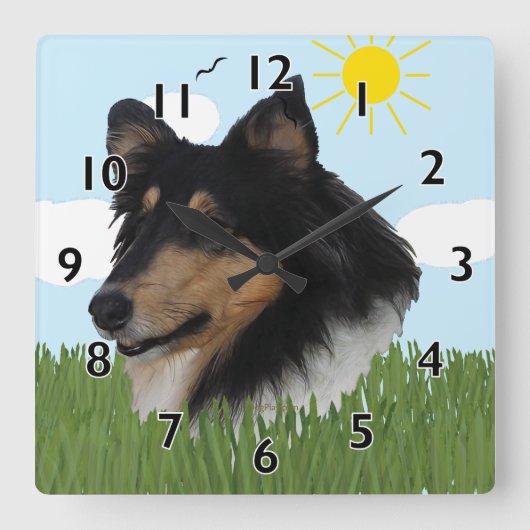 Rough Collie Portriat Quadratische Wanduhr (Vorderseite)