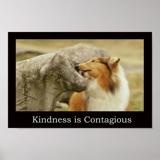 Rough Collie Poster " Kindness is Contagious" (Vorne)