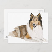 Rough Collie Postkarte (Vorne/Hinten)