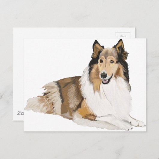 Rough Collie Postkarte (Vorne/Hinten)