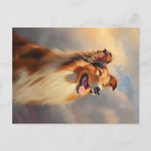 Rough collie / Scottish collie Postkarte (Vorderseite)