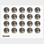 Rough Collie Sticker (Blatt)