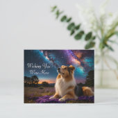 Rough Collie Under the Stars Postkarte (Stehend Vorderseite)