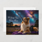 Rough Collie Under the Stars Postkarte (Vorne/Hinten)