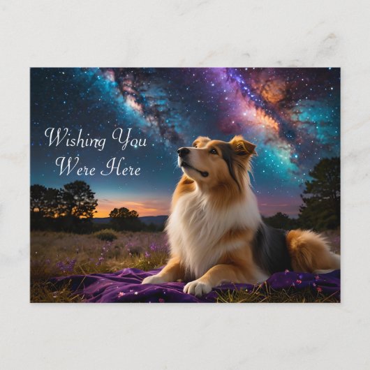 Rough Collie Under the Stars Postkarte (Vorderseite)
