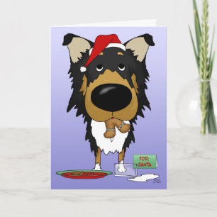 Rough Collie Weihnachten - Ho Ho??