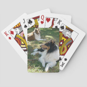 Rough Collieses Bicycle Playing Cards Spielkarten