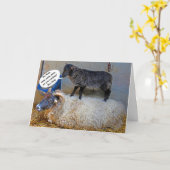 Rough Day for Ewe Card Karte (Gelbe Blume)