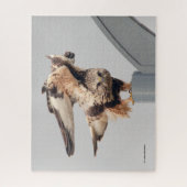 Rough-Legged Hawk auf einem Lamppost Puzzle (Vertikal)