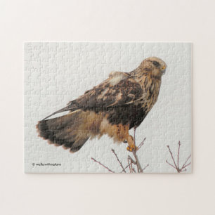 Rough-Legged Hawk im Baum Puzzle