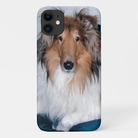Rough Sable Collie Case-Mate iPhone Hülle (Rückseite)