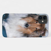 Rough Sable Collie Case-Mate iPhone Hülle (Rückseite (Horizontal))