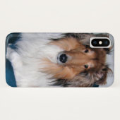 Rough Sable Collie Case-Mate iPhone Hülle (Rückseite (Horizontal))