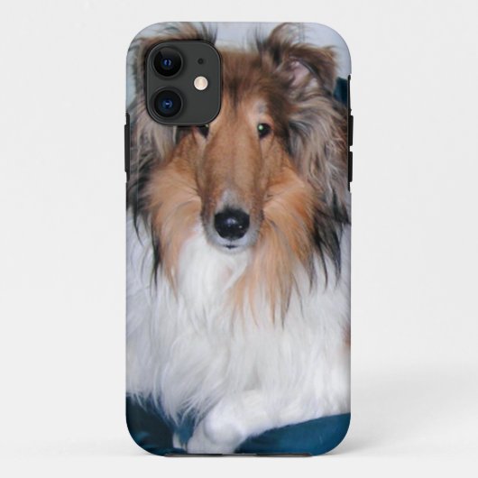 Rough Sable Collie iPhone 5 Fall Case-Mate iPhone Hülle (Rückseite)