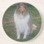 Rough Sable Collie Untersetzer (Vorne)