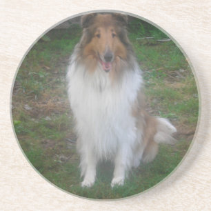 Rough Sable Collie Untersetzer