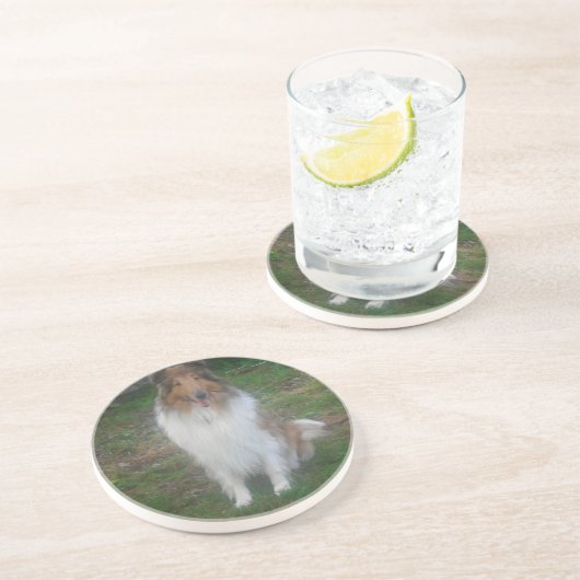 Rough Sable Collie Untersetzer (Seite)